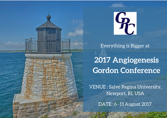 Photos of 2017 Angiogenesis Gordon Conference