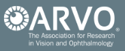 Organizer of The Association for Research in Vision and Ophthalmology