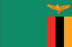 Flag of cuntry 6th Annual Africa Hospital Expansion Summit