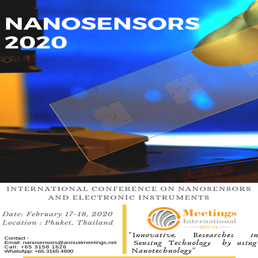 Photos of International Conference on Nanosensors and Electronic Instruments